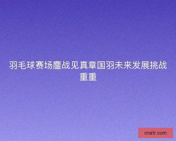 羽毛球赛场鏖战见真章国羽未来发展挑战重重